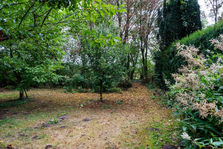 De Hagmolenbeek Boekelo - foto 41