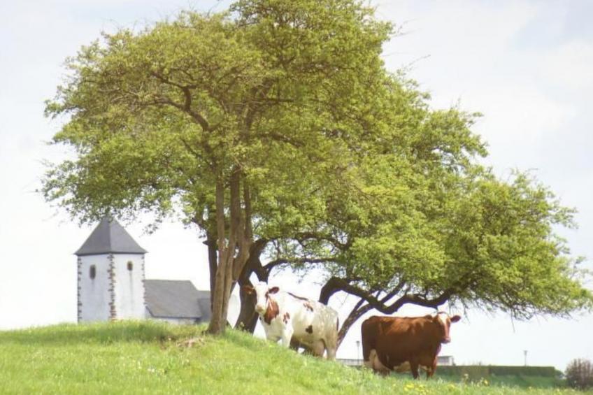 Gemütliche Maisonette Wohnung Seelenblick - foto 19
