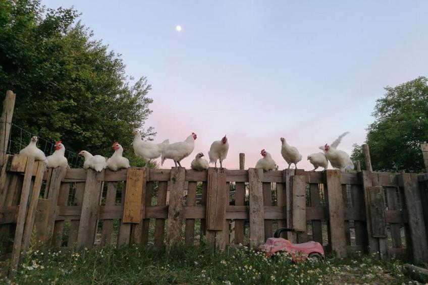 Karper studio - foto 20