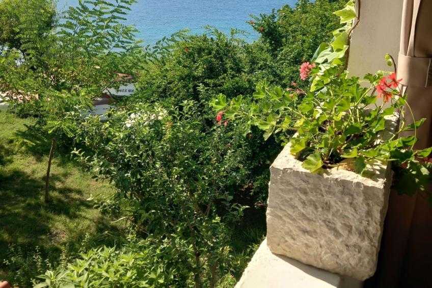 Guest House Green Corner Supetarska Draga - Studio Apartment with Terrace And Sea View - foto 13