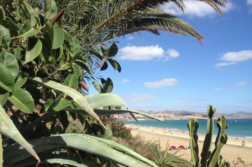 "Jandia" mit Wasserblick - foto 52