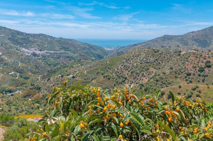 Villa Alejandro - foto 38