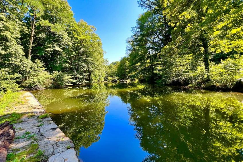 LA CABANE DES REVES - foto 3