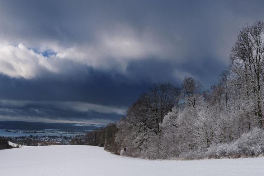Große Wohnung in Bodenwerder mit Garten, Terrasse und gemeinsamem Pool - foto 15