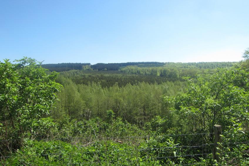 Le Trou du Loup - foto 29