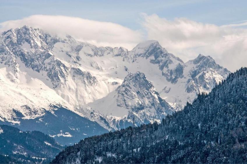 T. DU MOREL A N°25 - 2P5 - foto 26