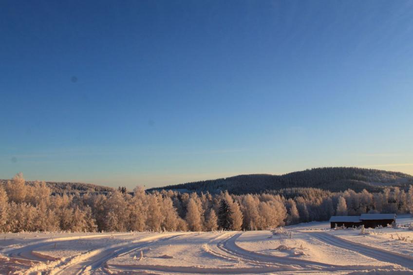 Anwesen mit eigenem Garten und Grill - foto 15