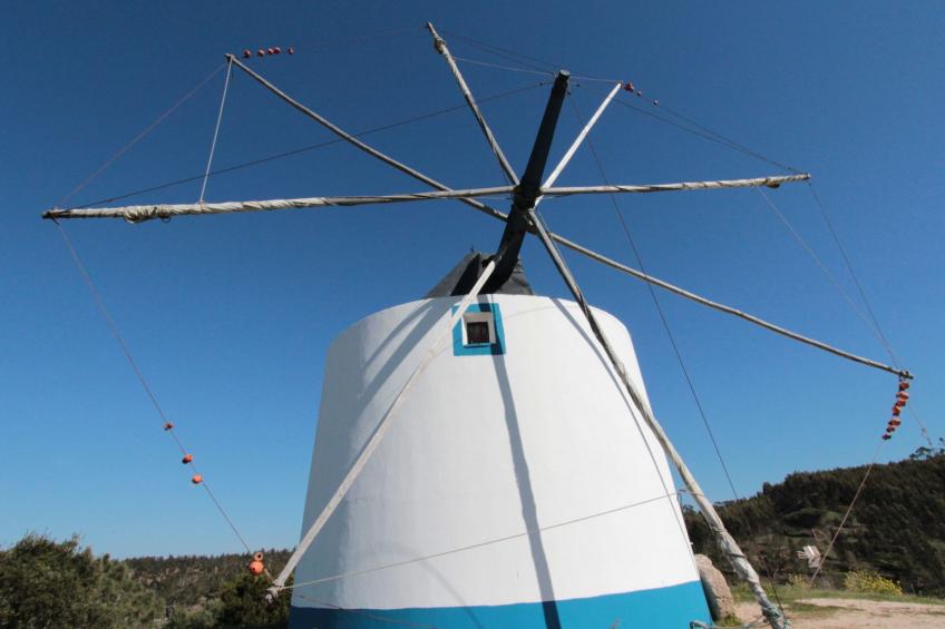 "The Natural Elements" - foto 17