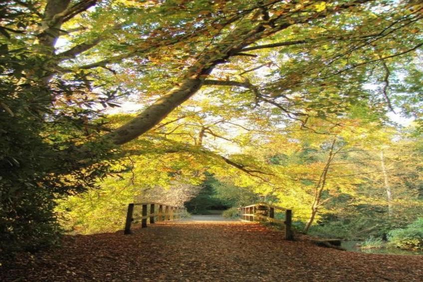 Little Dunley - Vine Lodge - foto 25