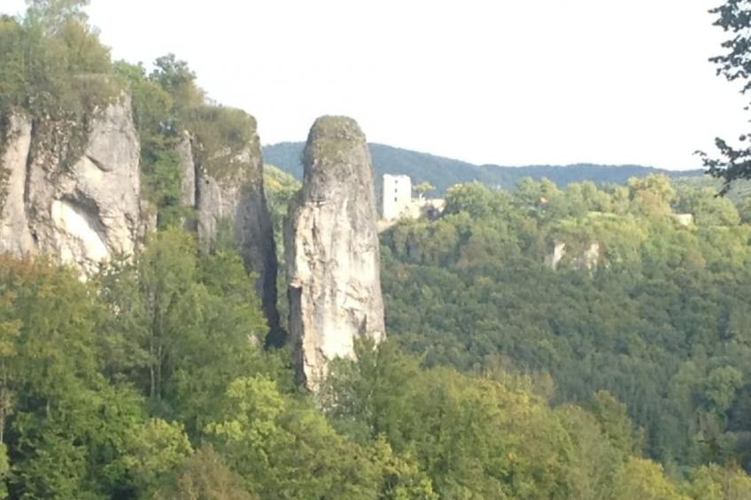 181340 - foto 24