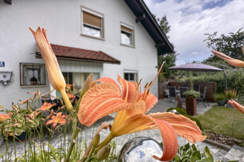 Bayerischer Wald - foto 2