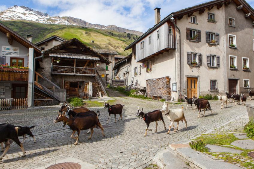 Haus Aebli, (Hinterrhein), - foto 4