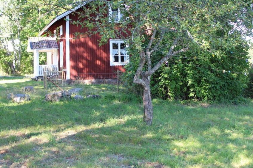 274455 - foto 7