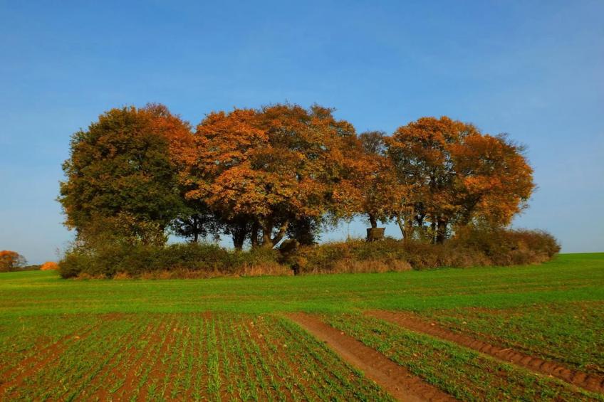 Ferienwohnung Weitblick - foto 30