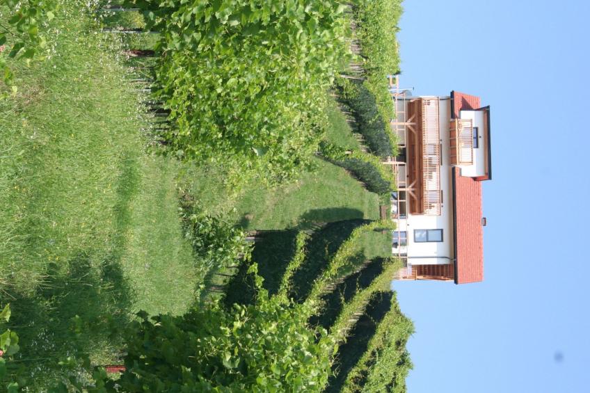 Rebenchalet - foto 46