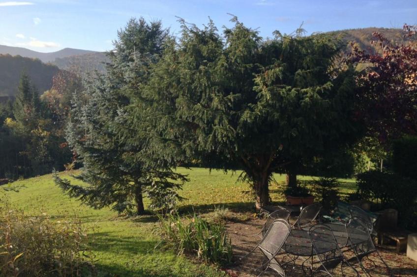 Bellevue mit Große Garten - foto 7