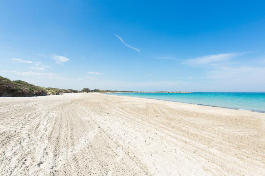 Flaches Meer aus Kiefernholz - foto 24