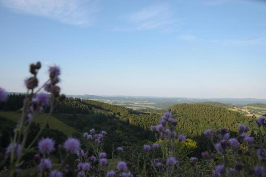 Im Sauerland - foto 31