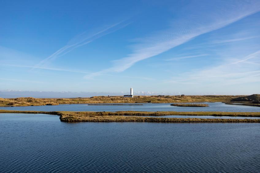 The Lighthouse Hide - foto 26