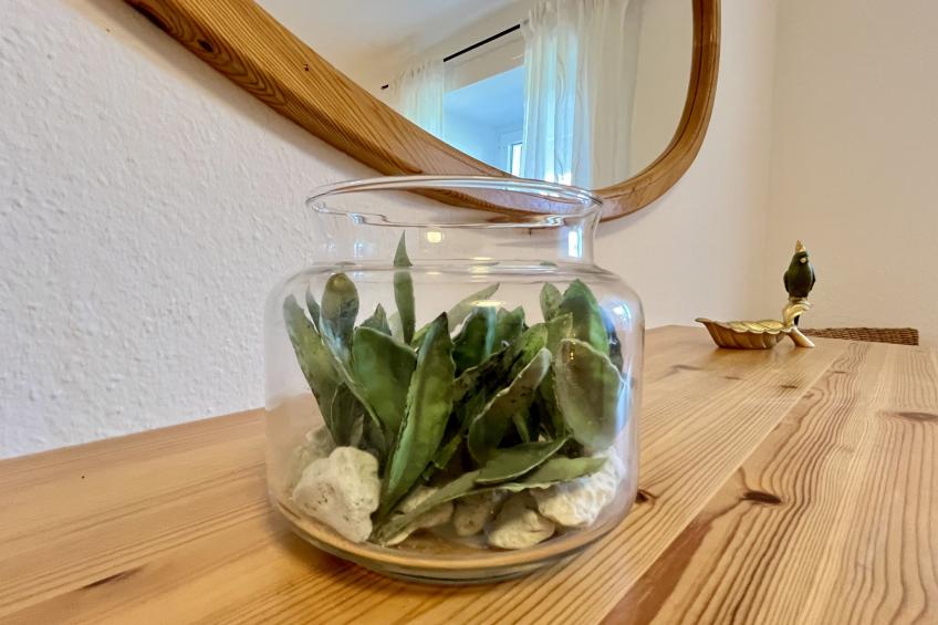 Gustis Hüsli - Alpensicht & Natur pur - foto 30