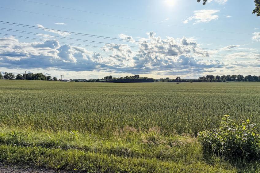 Skyberga Torp - foto 22