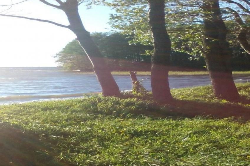 Hubert Haus - foto 4