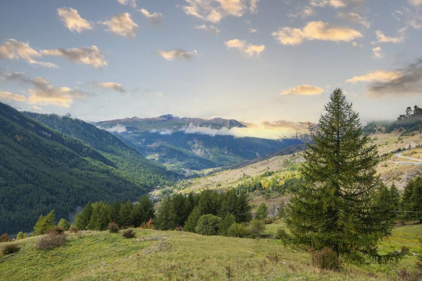 Grange Hike & Ski - 11C sestriere - foto 14