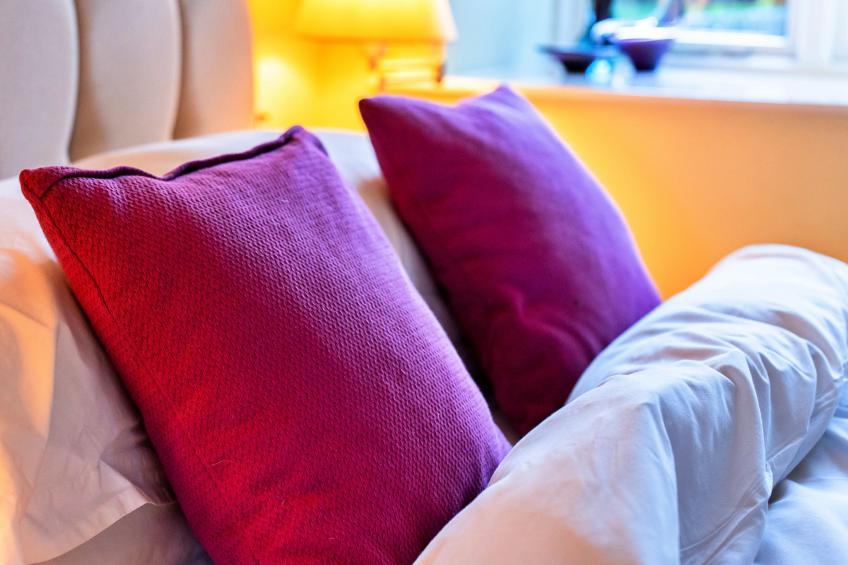 Jenny Wren - foto 19