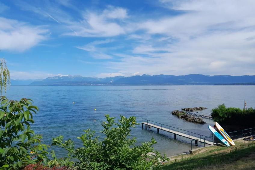 in Bauernhof - foto 26