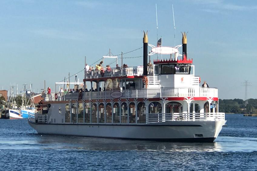 hygge hus, tolle Ostseelage, freier Blick auf Felder - foto 30