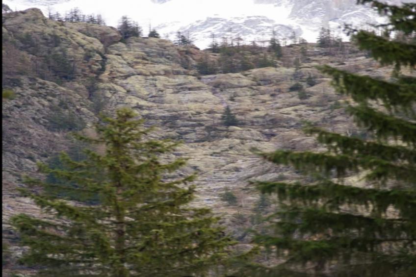 Résidence Prestige Odalys Isatis - foto 35