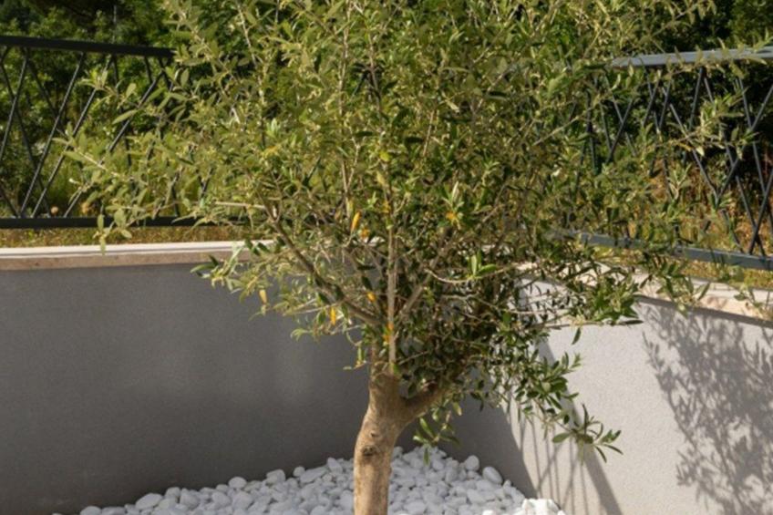 Villa Mario - foto 41