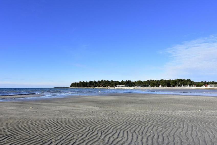 in Murine mit Großer Terrasse - foto 26