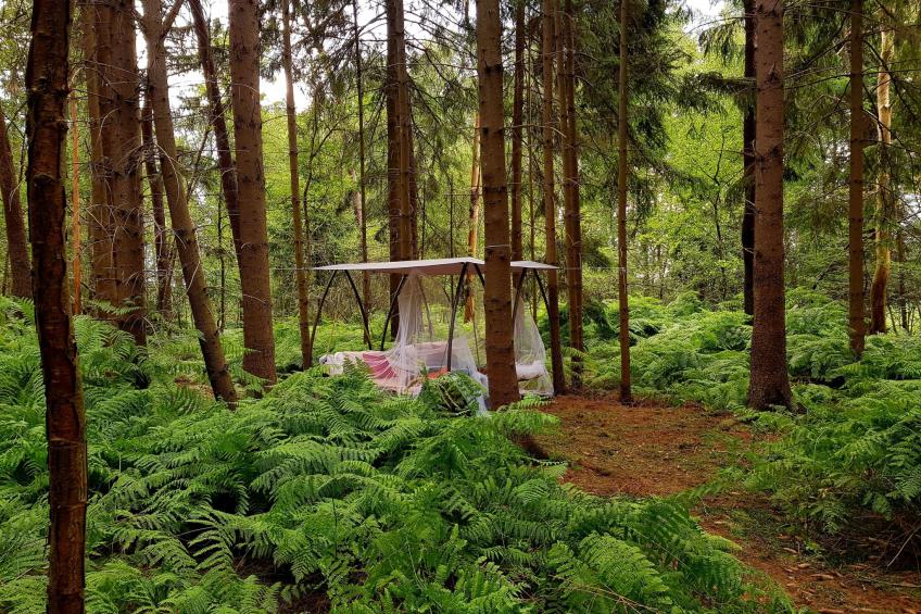 Luxuszeit zu Zweit - foto 35