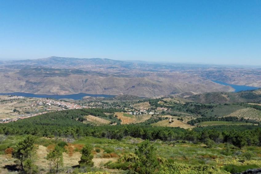 Träumende Aussichten im Douro - foto 41
