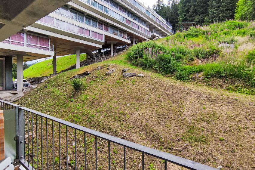 Tra le Piste - foto 7