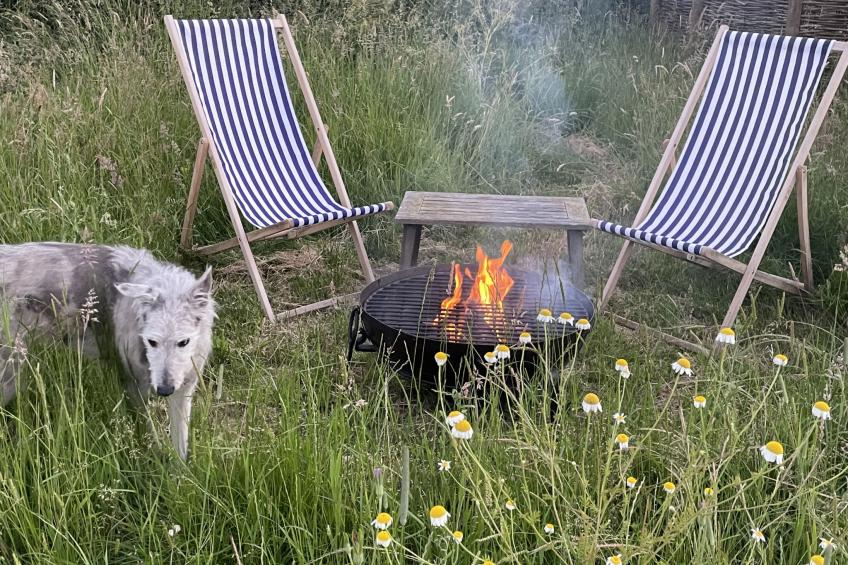 The Cornflower - foto 12