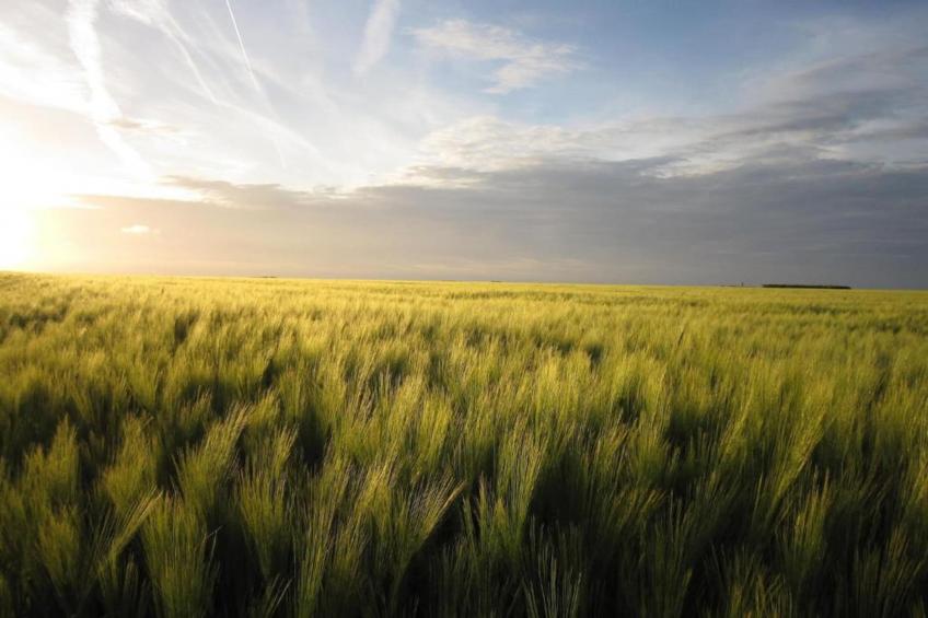 Gite Saint Julien - foto 30