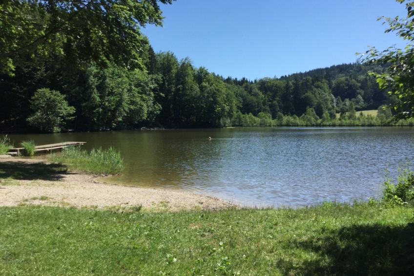 mit Panoramablick - foto 25