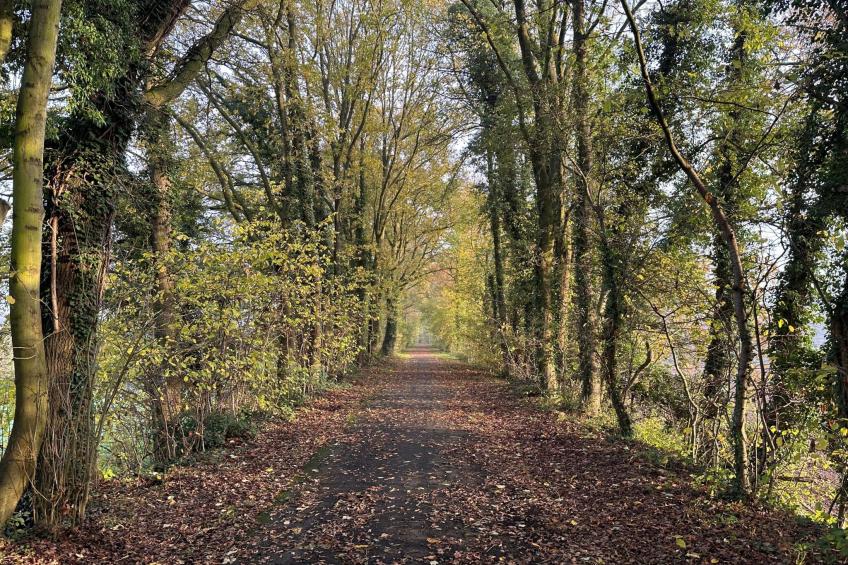 't Coureurke - foto 9