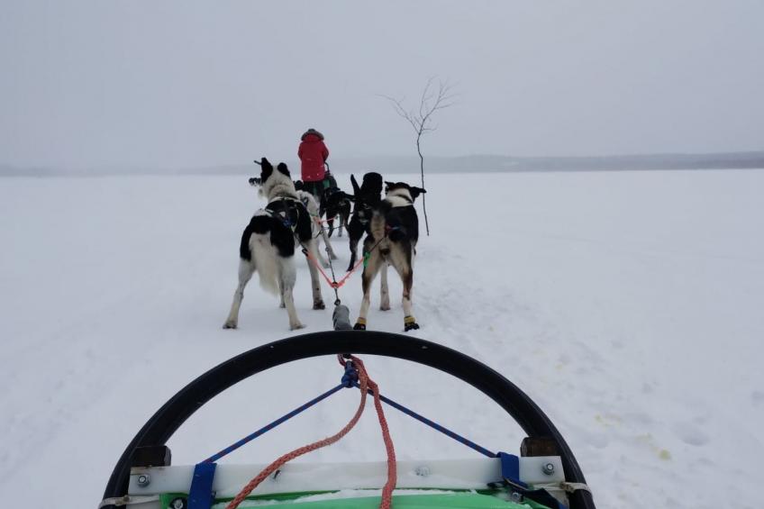 Haus-Lappland - foto 32