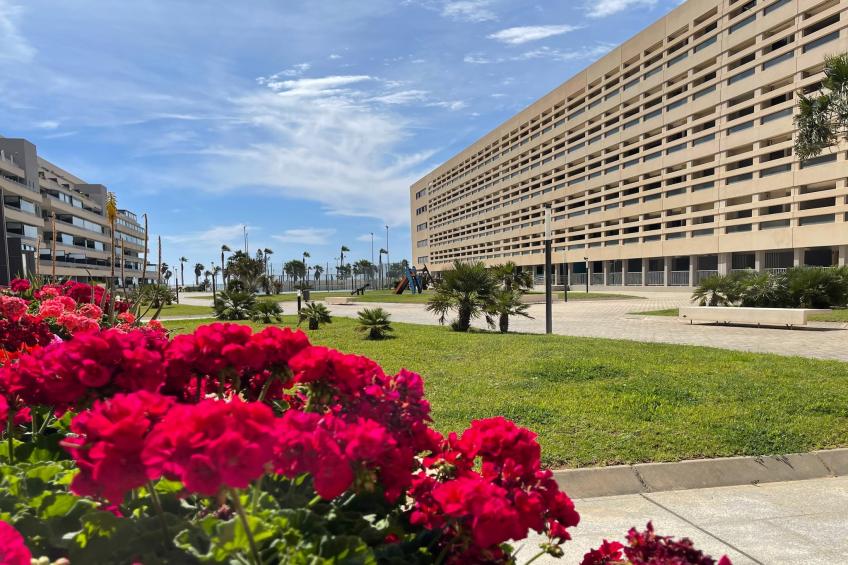 Mirador Playa Serena - foto 10