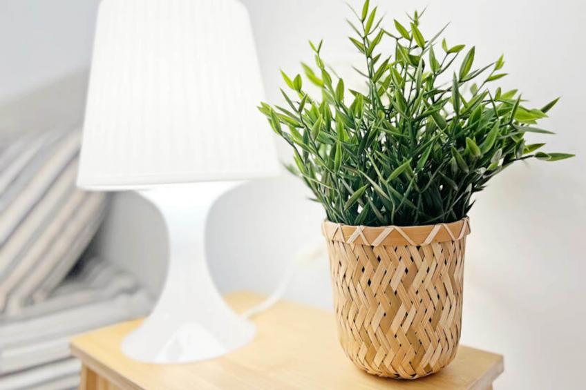 Appartements à Puerto de Sagunto - foto 17