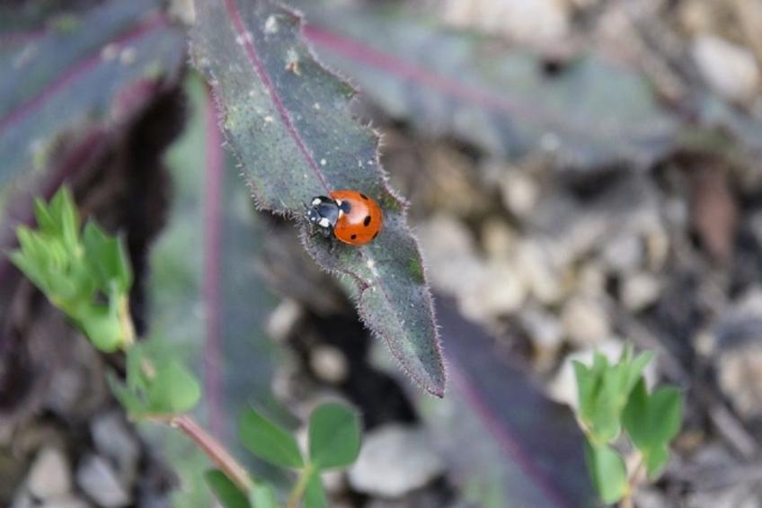 Stadt Apartement - foto 31