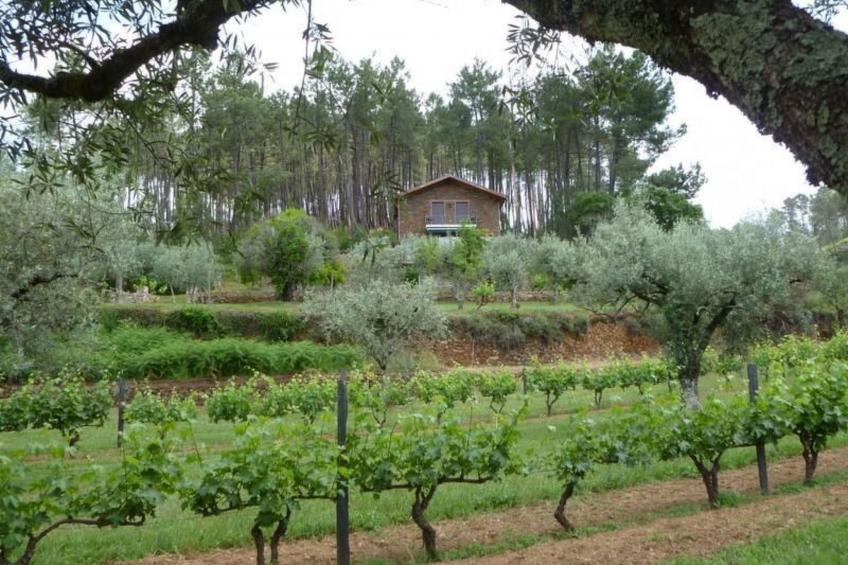 mit Sonnenterrasse und großem Garten - foto 24