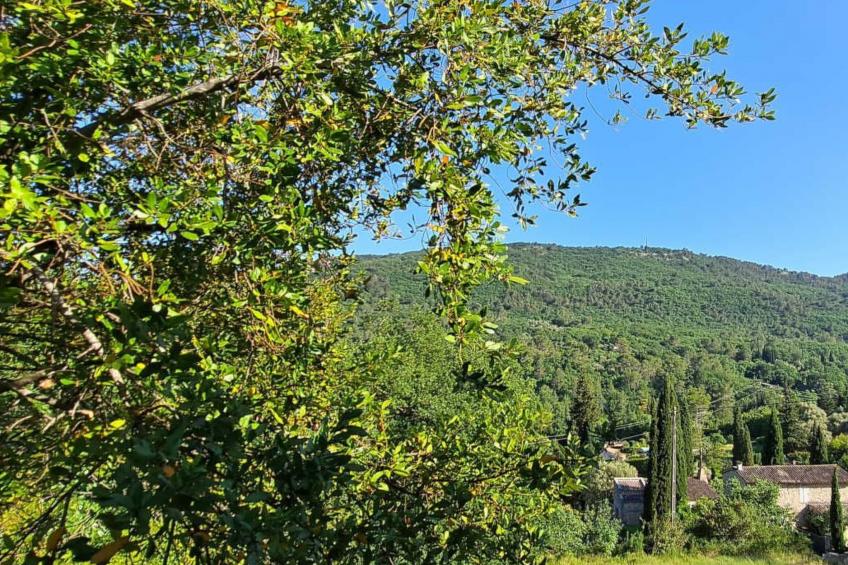 "Maison du Paysan" (Bauernhaus) - foto 7