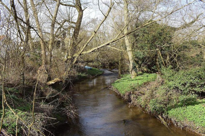 Hambleton Hall Apt - foto 31