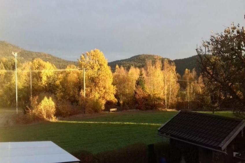 Appartement mit Terrasse, Garten und Grill - foto 8