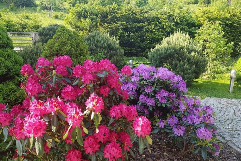 in den Bergen, Villa mit Panoramaterrasse - foto 22