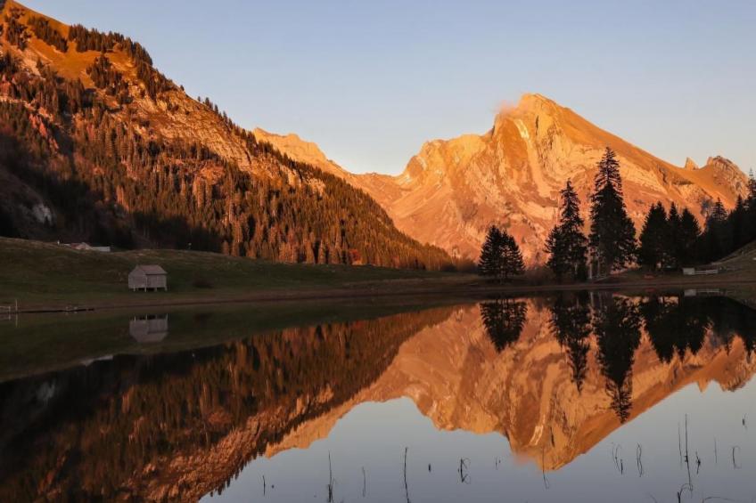 Haldenhof Schwizer - foto 33